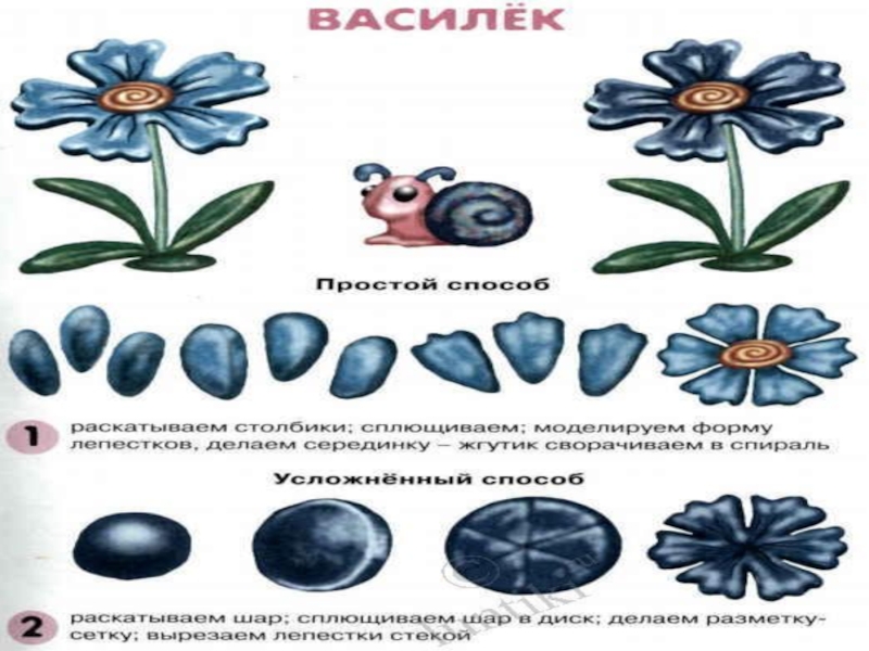 Технологическая карта нод по лепке в средней группе