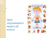Презентация к уроку окружающего мира в 4 классе Что такое кровь