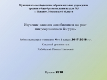 Изучение влияния антибиотиков на рост микроорганизмов йогурта