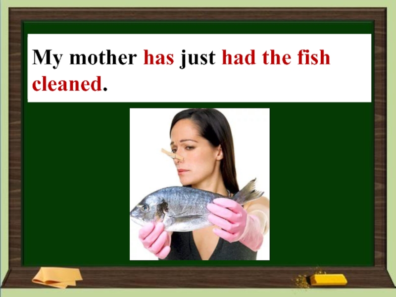 Mother fish. My mother is a Fish.