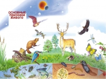 Презентация по биологии на тему Свойства живого (5 класс)