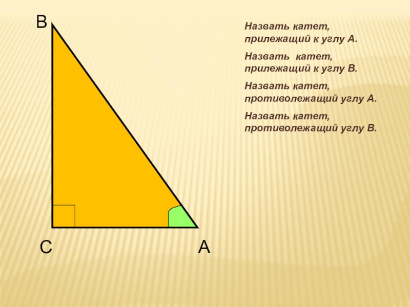 Катет прилежащего угла равен. Катет. Прилежащий катет. Прилежащий к противолежащему. Противолежащий и прилежащий катеты в треугольнике.