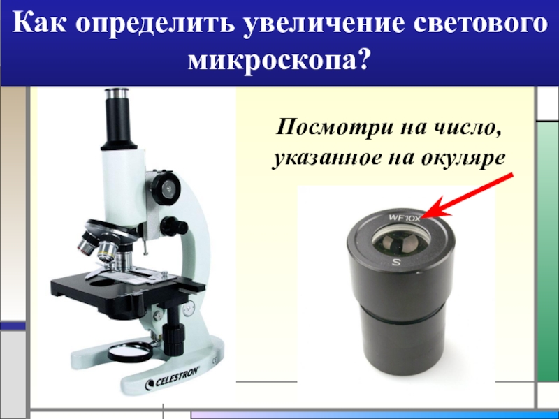 Какое увеличение дает данный микроскоп как узнать. Цифровой микроскоп 60 окуляр. Окуляр микроскопа Nikon mmk20331. Увеличение микроскопа. Увеличение светового микроскопа.