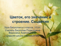 Презентация по биологии на тему Цветок, его строение и значение. Соцветия. (6 класс)