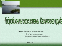 Презентация Гидробионты экосистемы пруда