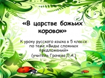 Презентация по русскому языку на тему Виды сложных предложений