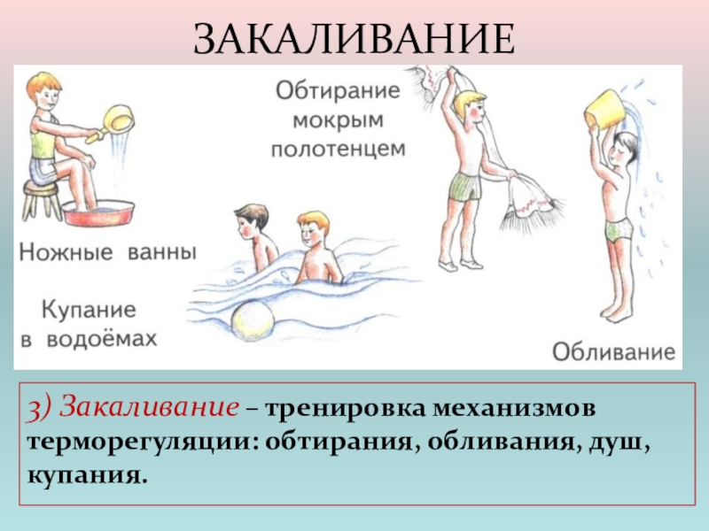 Презентация терморегуляция организма закаливание биология 8 класс