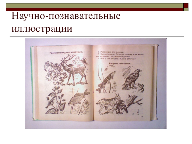 2 виды иллюстраций. Научно-Познавательные иллюстрации. Научно-познавательная книга иллюстрации. Иллюстрации к научным книгам. Виды книжных иллюстраций.