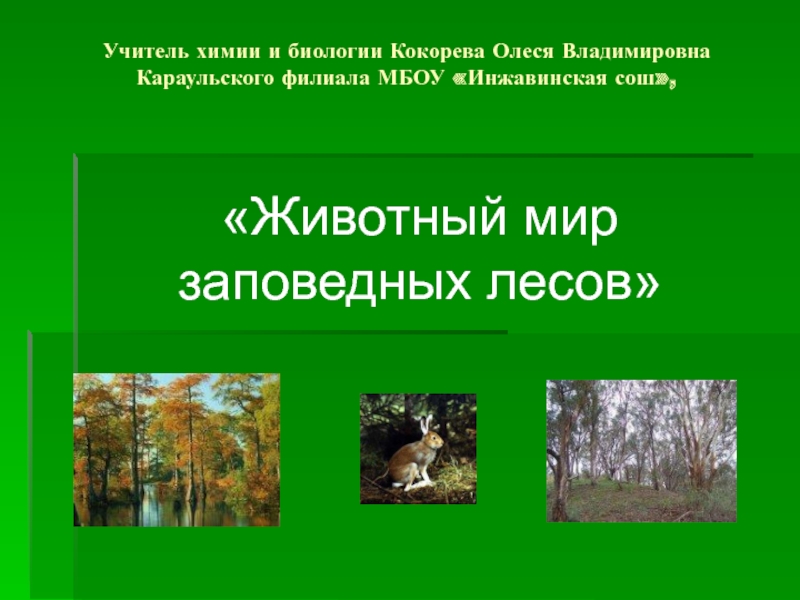 Презентация Презентация Животный мир заповедных лесов
