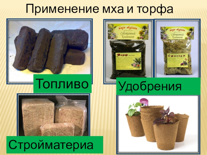 Значение торфа