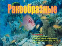 Презентация Ракообразные (7 класс)