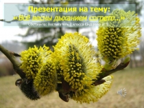 Презентация Всё весны дыханием согрето...
