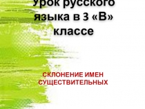 Презентация по русскому языку на тему Склонение имён существительных (4 класс)