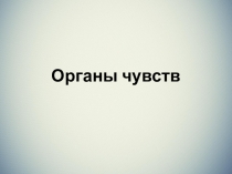 Презентация  Органы чувств