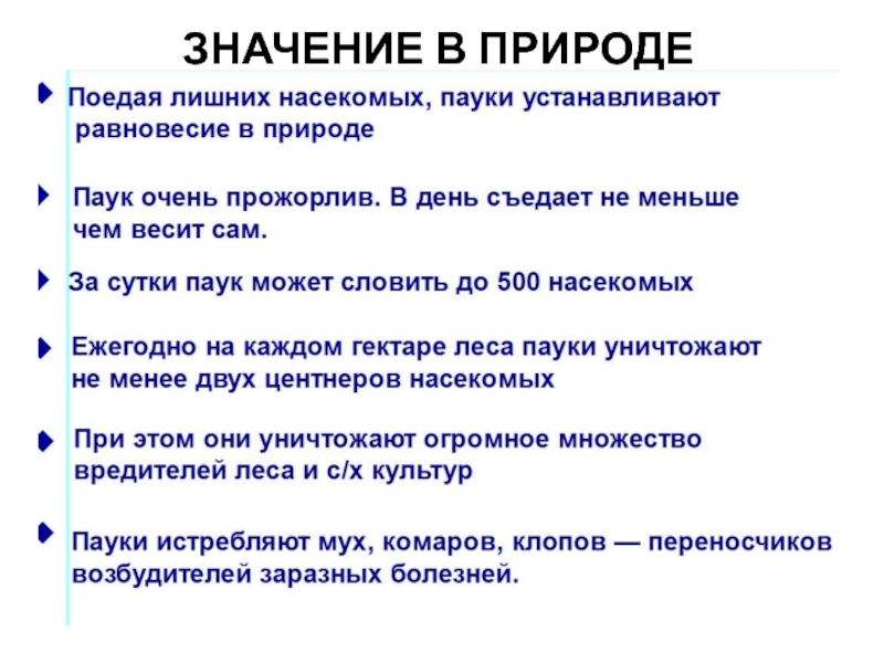 Многообразие паукообразных и их значение в природе и жизни человека план презентации