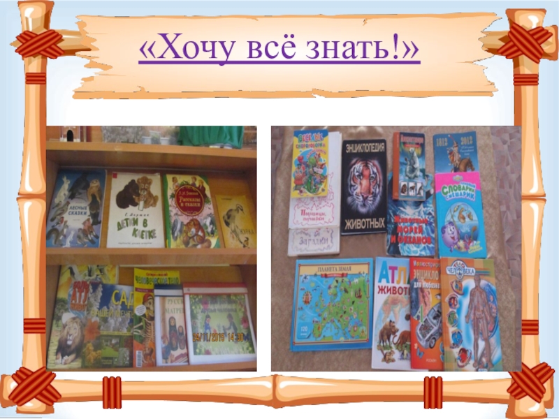 Выставка книг рисунок