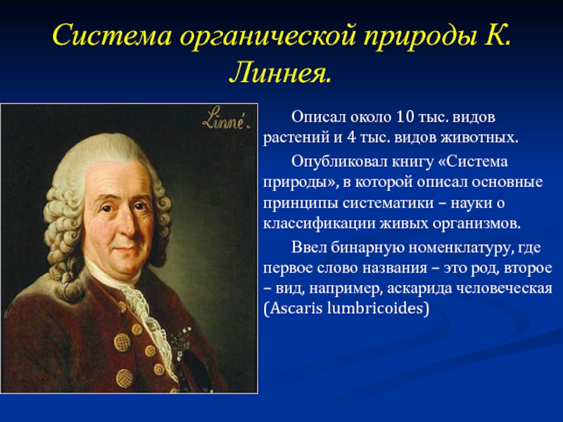 Создавший вид. Система живой природы Карла Линнея. Карл Линней система органической природы. Система органической природы к Линнея кратко. Система природы 1735 Линней.