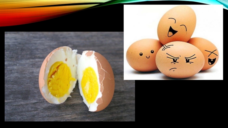 Можно говорить яичко. Яйца для презентации. Проект про яйца. Секреты куриного яйца. Необычные куриные яйца.