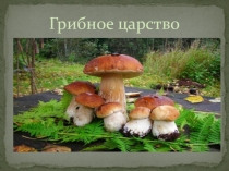 Презентация по окружающему миру по теме Времена года