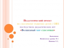 Презентация Педагогический проект по сенсорному развитию детей с ОВЗ посредством дидактических игр Волшебный мир сенсорики