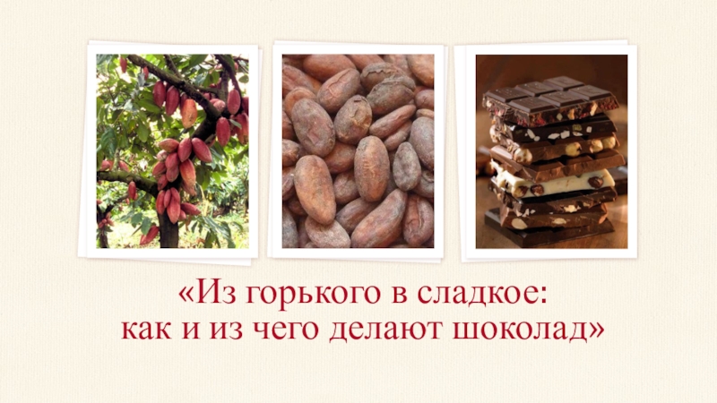 Презентация Презентация Из горького в сладкое: как и из чего делают шоколад