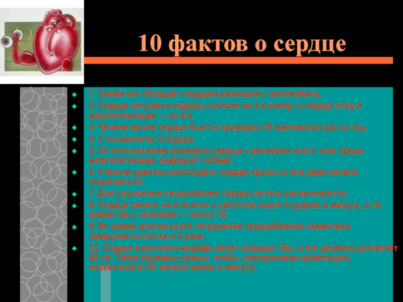 Проект о сердце