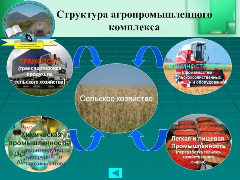 Агропромышленный комплекс красноярского края презентация