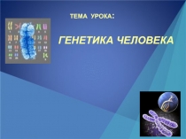 Слайдовые презентации по биологии 10 класс тема Генетика человека