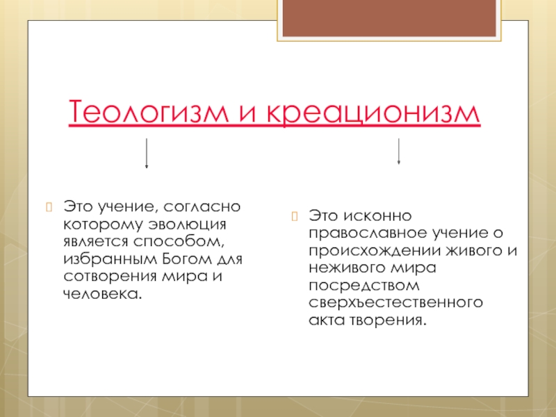 Искони это. Теологизм. Теологизм в философии это. Теологизм и креационизм. Креационизм Аргументы за и против.