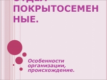 Презентация по биологии по теме:Отдел Покрытосеменные. особенности организации, происхождение. (7 класс)