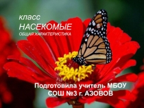 ПРЕЗЕНТАЦИЯ ПО БИОЛОГИИ тема Оющая характеристика класса Насекомые