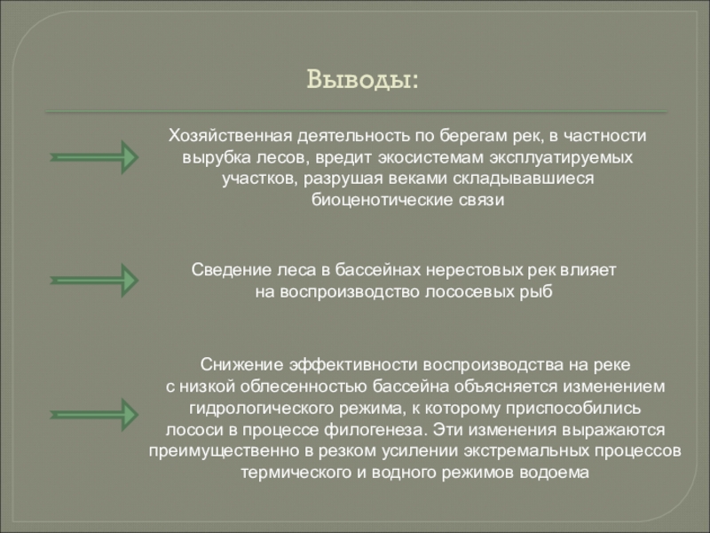 Сведение лесов в бассейнах рек приводит. Река как экосистема заключение или вывод. Как связано сведение лесов и изменение режима реки.