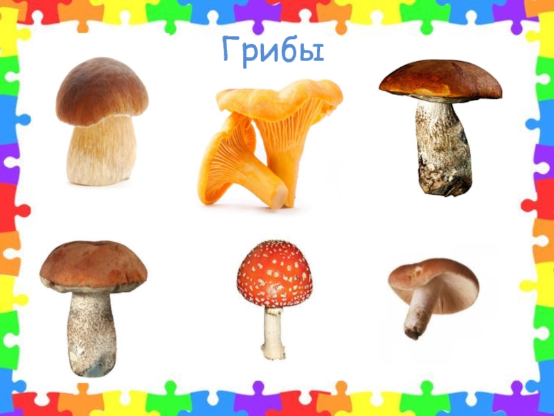 Дидактическая игра одним словом. Картинки для игры назови одним словом. Обобщающие понятия грибы. Игра назови одним словом картинки для дошкольников. Назови одним словом грибы.