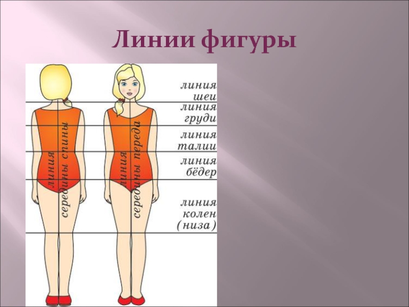 Линия талии. Фигуры линиями. Линия бедер от линии талии. Конструктивные линии фигуры 6 класс.