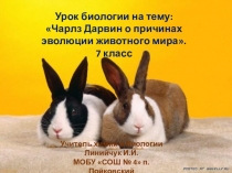 Презентация Дарвин о причинах эволюции животного мира. (7 класс)