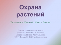 Сценарий классного часа  Охрана растений, занесённых в Красную книгу России