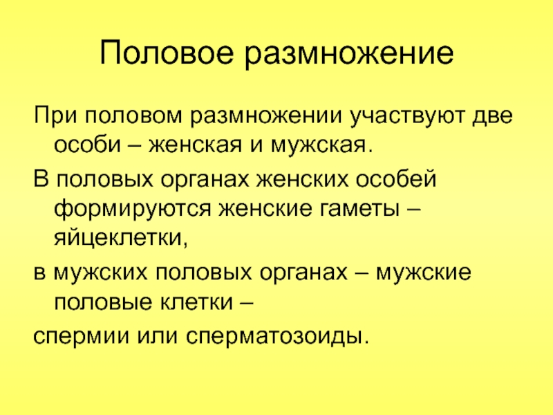 Спора участвует в размножении