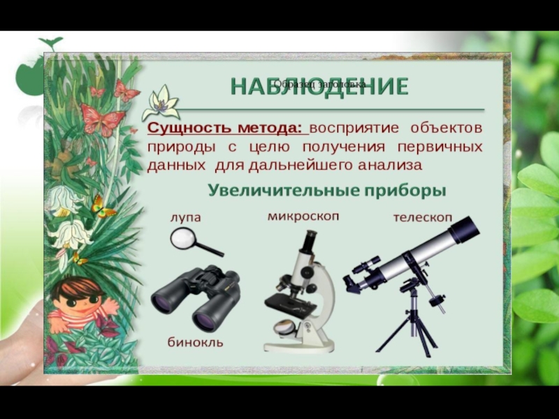 Привести пример наблюдения биология 5 класс. Приборы для наблюдения в биологии. Средства наблюдения в биологии. Методы исследования природы. Наблюдение это в биологии.