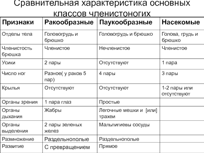 Характеристика классы членистоногих. Сравнительная характеристика членистоногих. Сравнительная характеристика членистоногих таблица. Членистоногие сравнительная характеристика классов таблица. Сравнительная характеристика классов типа Членистоногие.