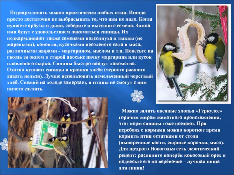 Можно ли птицам давать черный хлеб. Что нельзя птицам. Чем можно кормить ут оек. Что нельзя птицам. Можно ли птицам давать черный хлеб.