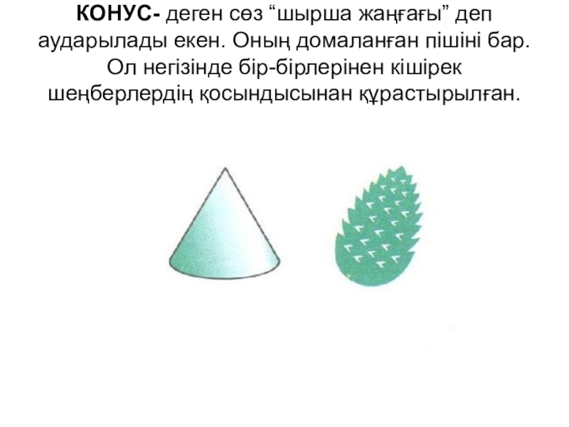 Конус презентация 11 сынып