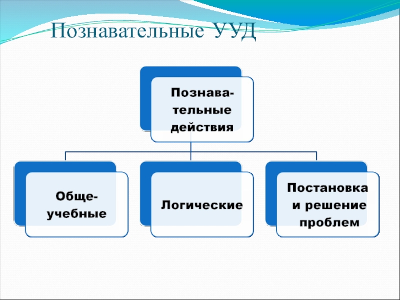 Познавательные учебные действия. Познавательные УУД. Познавательные УУД схема. Познавательные универсальные действия. Схема универсальные учебные действия.