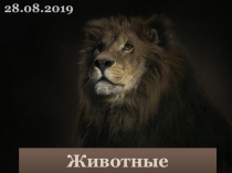 Презентация к уроку биологии (5 класс) по теме Животные