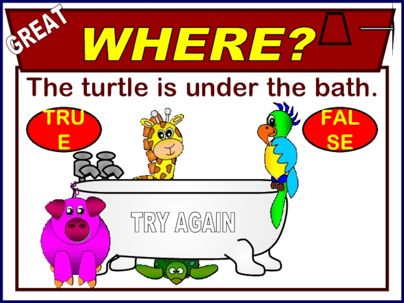 The turtle is under the bath.WHERE?GREATTRY AGAINTRUEFALSE