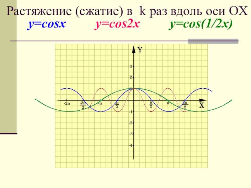 Растяжение и сжатие графиков функций презентация