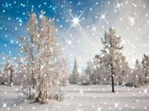 Правила поведения на льду