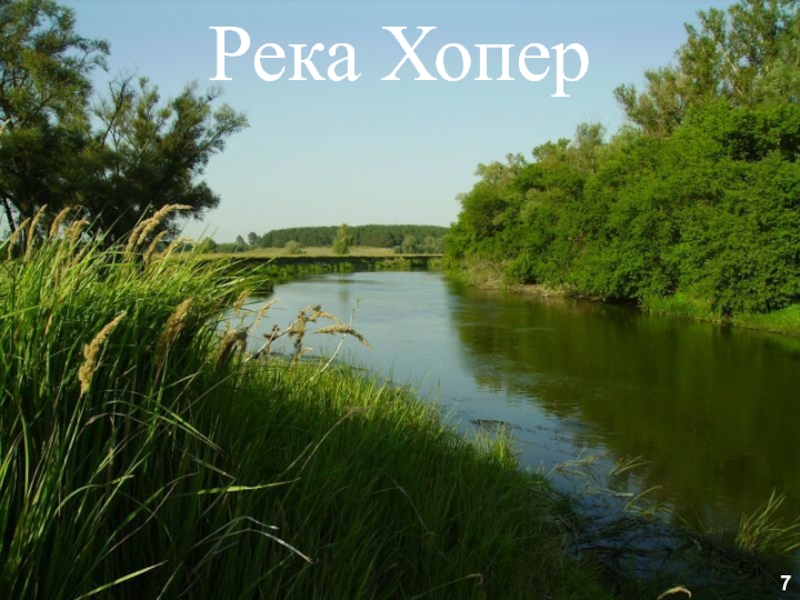 Любая река имеет. Река Хопер Балашовский район. Любая река. Река Любеч. Внутренние воды Волгоградского района.
