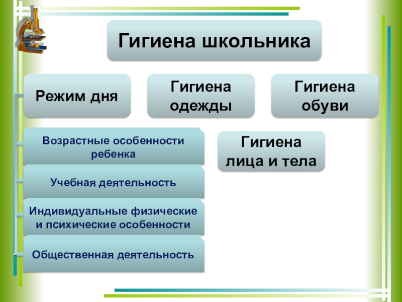 Значение возрастной анатомии и гигиены. Возрастная анатомия физиология и гигиена презентация. Анатомия физиология гигиена. Таблица возрастная анатомия, физиология и гигиена. Предмет и задачи анатомии физиологии и гигиены.