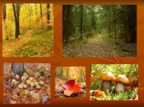 Презентация по литературному чтению А.С. Пушкин