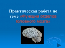 Презентация практикума по теме Функции отделов головного мозга